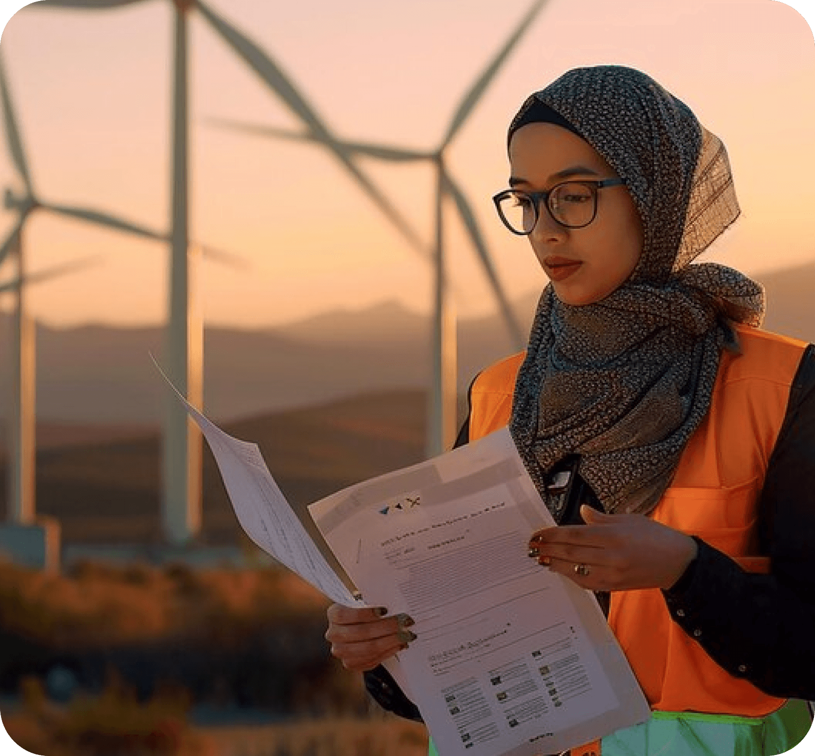 UAE Energy Strategy 2050 | The Official Portal of the UAE Government